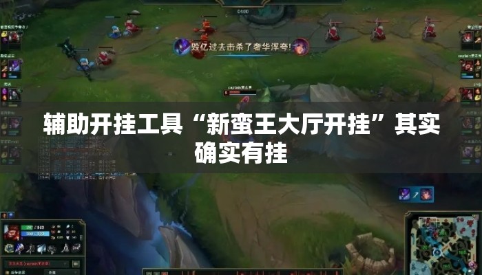 辅助开挂工具“新蛮王大厅开挂”其实确实有挂