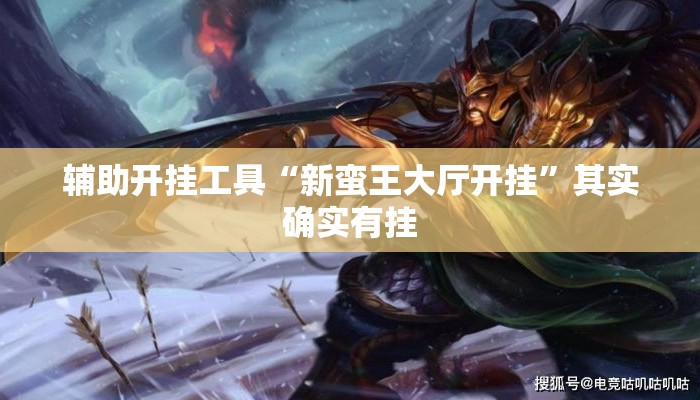 辅助开挂工具“新蛮王大厅开挂”其实确实有挂