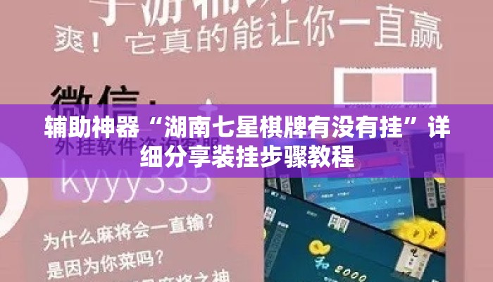 辅助神器“湖南七星棋牌有没有挂”详细分享装挂步骤教程