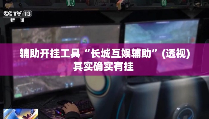 辅助开挂工具“长城互娱辅助	”(透视)其实确实有挂 