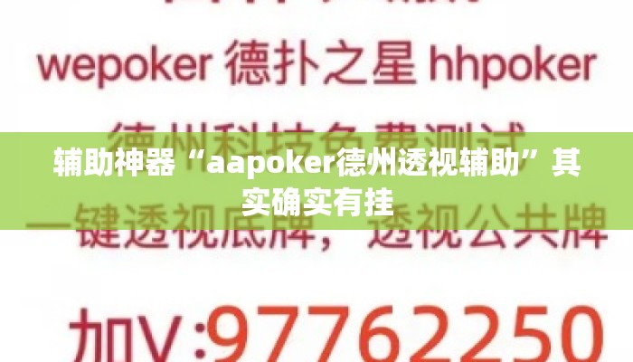 辅助神器“aapoker德州透视辅助	”其实确实有挂