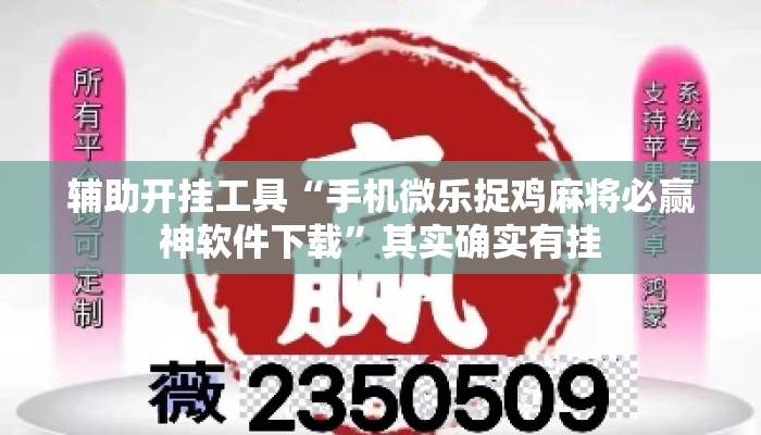 辅助开挂工具“手机微乐捉鸡麻将必赢神软件下载	”其实确实有挂