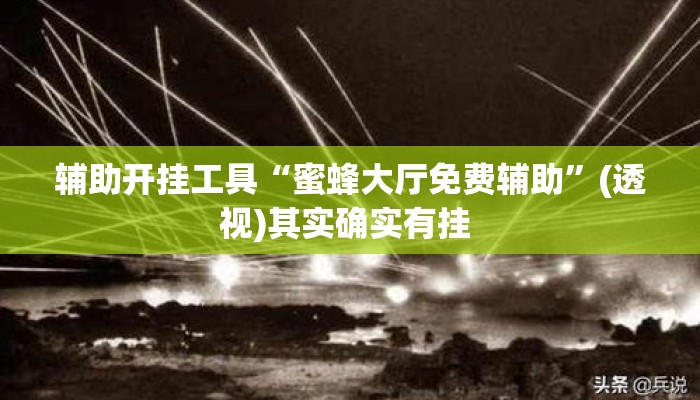 辅助开挂工具“蜜蜂大厅免费辅助”(透视)其实确实有挂 