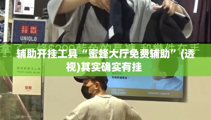 辅助开挂工具“蜜蜂大厅免费辅助	”(透视)其实确实有挂 