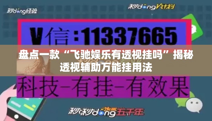 盘点一款“飞驰娱乐有透视挂吗”揭秘透视辅助万能挂用法