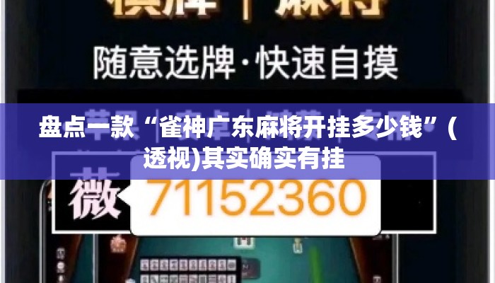 盘点一款“雀神广东麻将开挂多少钱”(透视)其实确实有挂 