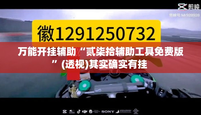 万能开挂辅助“贰柒拾辅助工具免费版”(透视)其实确实有挂 