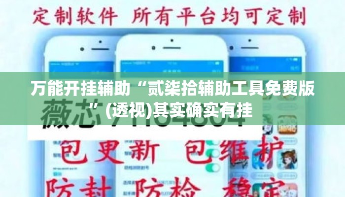 万能开挂辅助“贰柒拾辅助工具免费版”(透视)其实确实有挂 