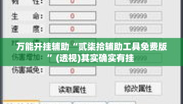 万能开挂辅助“贰柒拾辅助工具免费版”(透视)其实确实有挂 