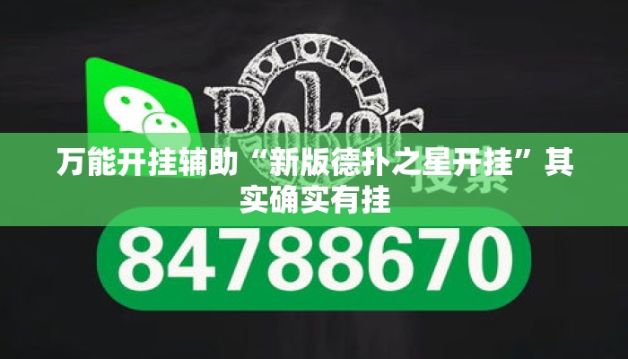 万能开挂辅助“新版德扑之星开挂	”其实确实有挂