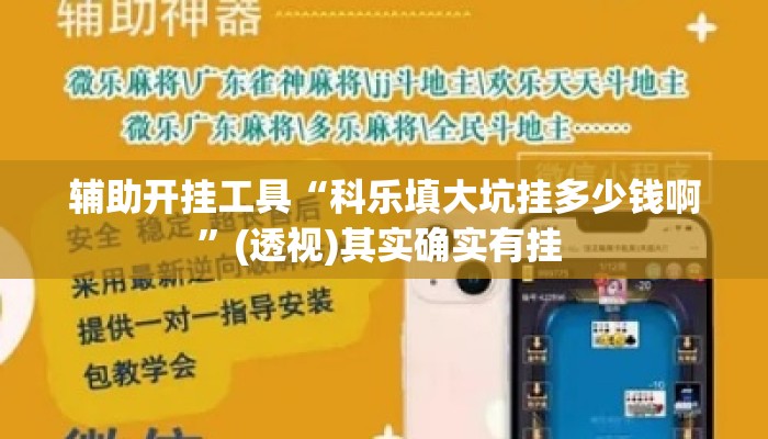 辅助开挂工具“科乐填大坑挂多少钱啊	”(透视)其实确实有挂 