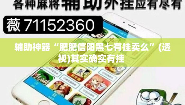 辅助神器“肥肥信阳黑七有挂卖么”(透视)其实确实有挂 