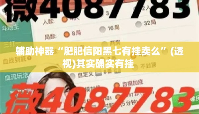 辅助神器“肥肥信阳黑七有挂卖么”(透视)其实确实有挂 
