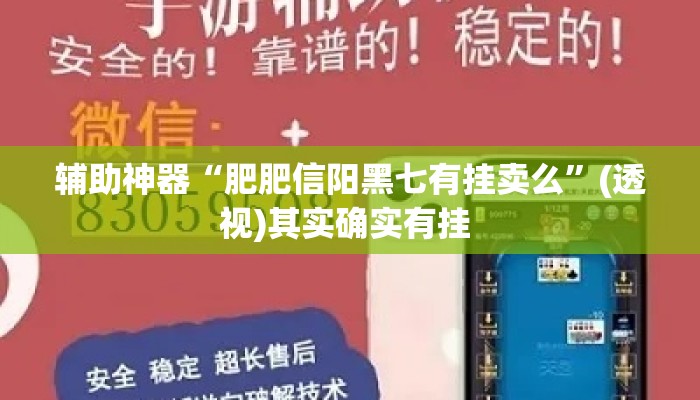 辅助神器“肥肥信阳黑七有挂卖么	”(透视)其实确实有挂 