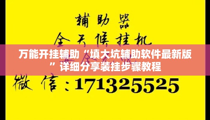 万能开挂辅助“填大坑辅助软件最新版”详细分享装挂步骤教程
