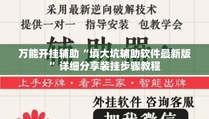 万能开挂辅助“填大坑辅助软件最新版”详细分享装挂步骤教程