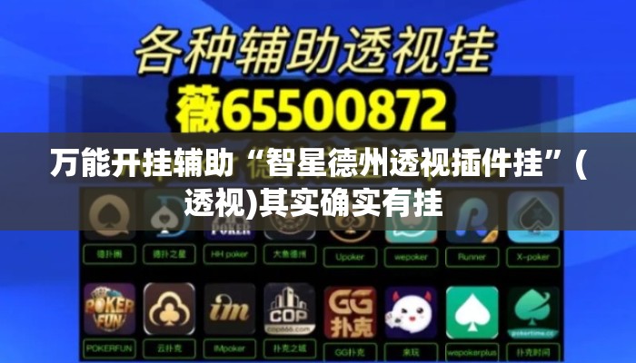 万能开挂辅助“智星德州透视插件挂	”(透视)其实确实有挂 