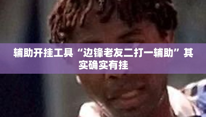 辅助开挂工具“边锋老友二打一辅助	”其实确实有挂