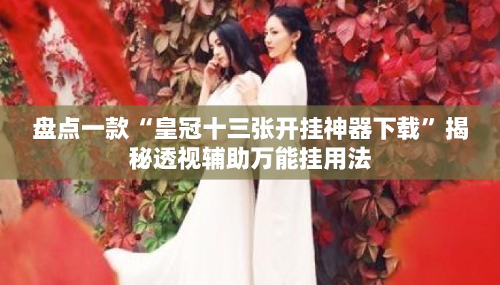 盘点一款“皇冠十三张开挂神器下载”揭秘透视辅助万能挂用法