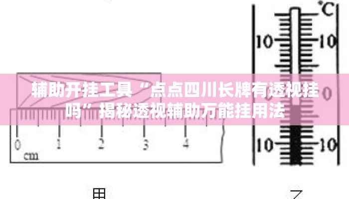 辅助开挂工具“点点四川长牌有透视挂吗”揭秘透视辅助万能挂用法