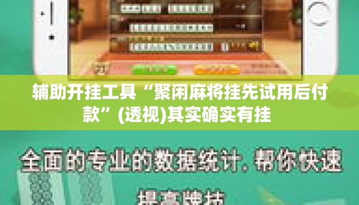 辅助开挂工具“聚闲麻将挂先试用后付款	”(透视)其实确实有挂 