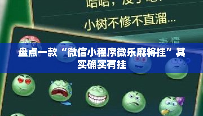 盘点一款“微信小程序微乐麻将挂”其实确实有挂