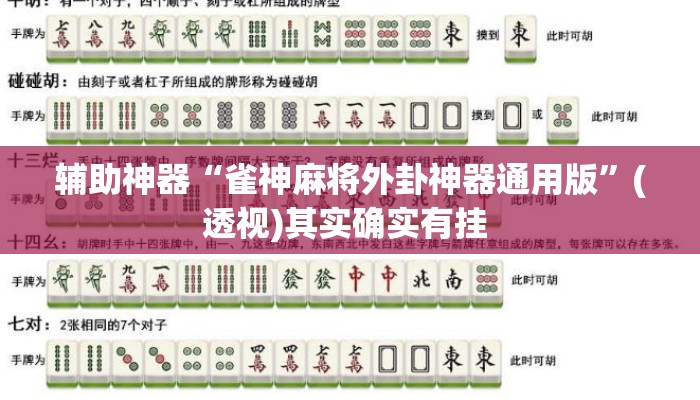辅助神器“雀神麻将外卦神器通用版”(透视)其实确实有挂 