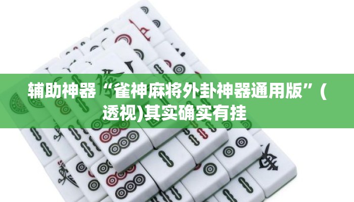 辅助神器“雀神麻将外卦神器通用版”(透视)其实确实有挂 