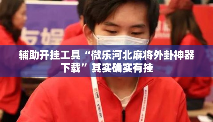 辅助开挂工具“微乐河北麻将外卦神器下载	”其实确实有挂