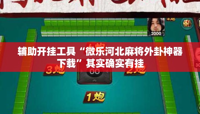 辅助开挂工具“微乐河北麻将外卦神器下载	”其实确实有挂