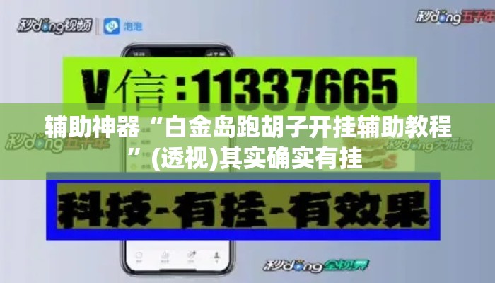 辅助神器“白金岛跑胡子开挂辅助教程	”(透视)其实确实有挂 
