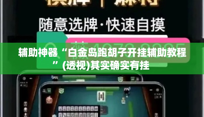 辅助神器“白金岛跑胡子开挂辅助教程	”(透视)其实确实有挂 