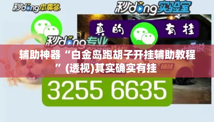 辅助神器“白金岛跑胡子开挂辅助教程	”(透视)其实确实有挂 