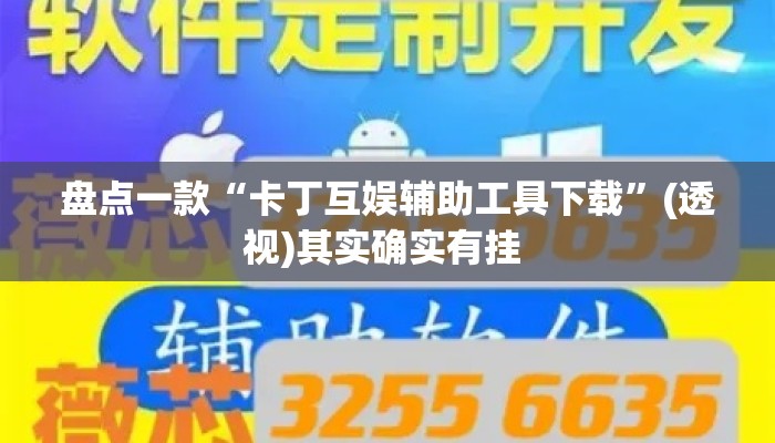 盘点一款“卡丁互娱辅助工具下载”(透视)其实确实有挂 