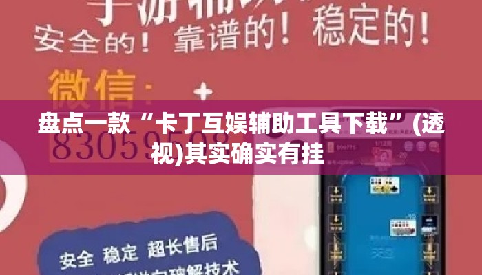 盘点一款“卡丁互娱辅助工具下载”(透视)其实确实有挂 