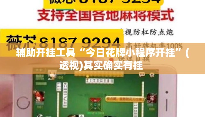 辅助开挂工具“今日花牌小程序开挂	”(透视)其实确实有挂 