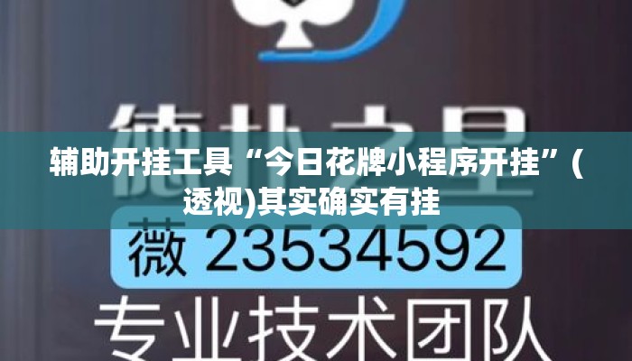 辅助开挂工具“今日花牌小程序开挂”(透视)其实确实有挂 