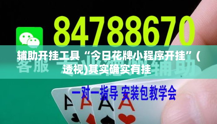 辅助开挂工具“今日花牌小程序开挂	”(透视)其实确实有挂 