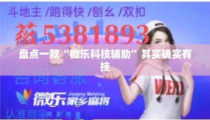 盘点一款“微乐科技辅助”其实确实有挂