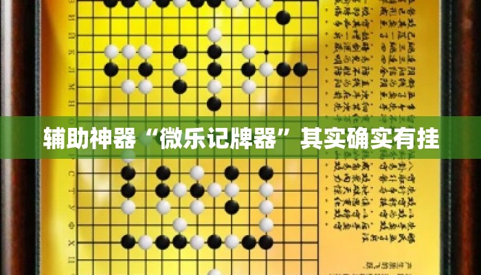 辅助神器“微乐记牌器	”其实确实有挂