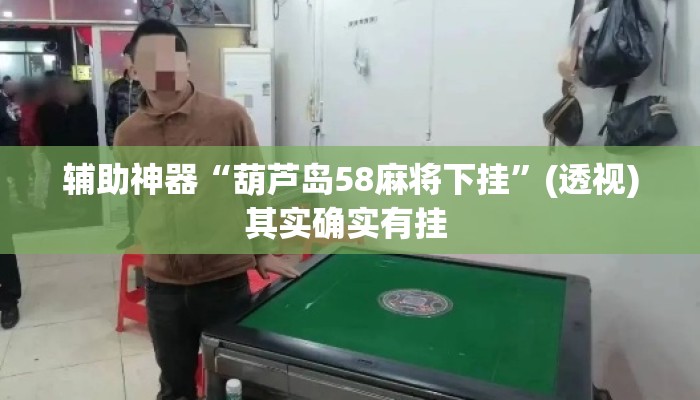 辅助神器“葫芦岛58麻将下挂”(透视)其实确实有挂 