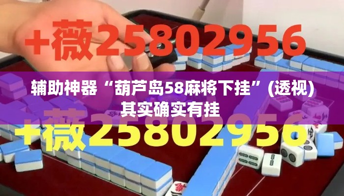 辅助神器“葫芦岛58麻将下挂”(透视)其实确实有挂 
