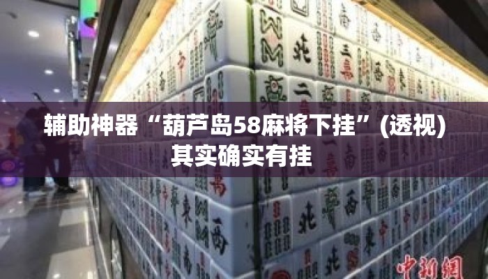 辅助神器“葫芦岛58麻将下挂	”(透视)其实确实有挂 