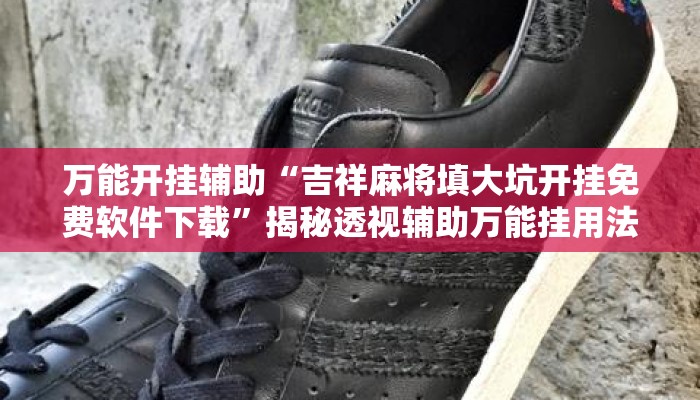 万能开挂辅助“吉祥麻将填大坑开挂免费软件下载”揭秘透视辅助万能挂用法