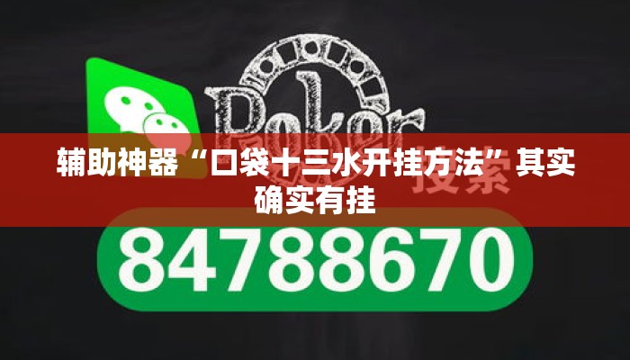 辅助神器“口袋十三水开挂方法”其实确实有挂