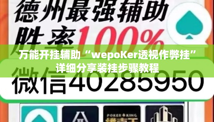 万能开挂辅助“wepoKer透视作弊挂	”详细分享装挂步骤教程