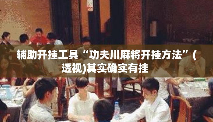 辅助开挂工具“功夫川麻将开挂方法”(透视)其实确实有挂 