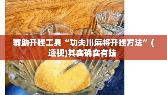 辅助开挂工具“功夫川麻将开挂方法”(透视)其实确实有挂 