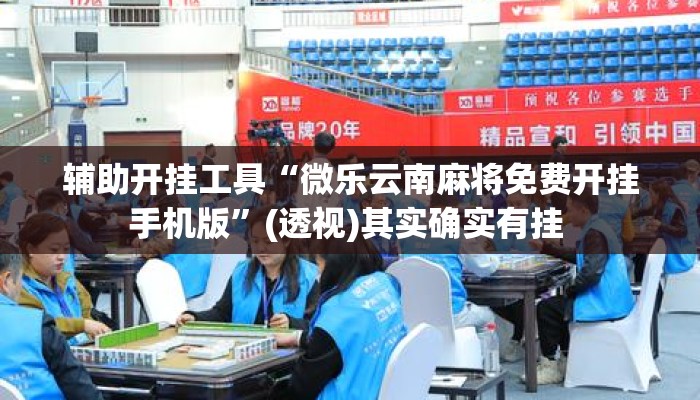 辅助开挂工具“微乐云南麻将免费开挂手机版”(透视)其实确实有挂 
