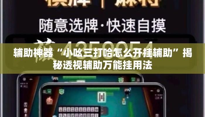 辅助神器“小吆三打哈怎么开挂辅助”揭秘透视辅助万能挂用法